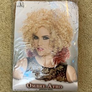 Ombré Afro Adult Wig